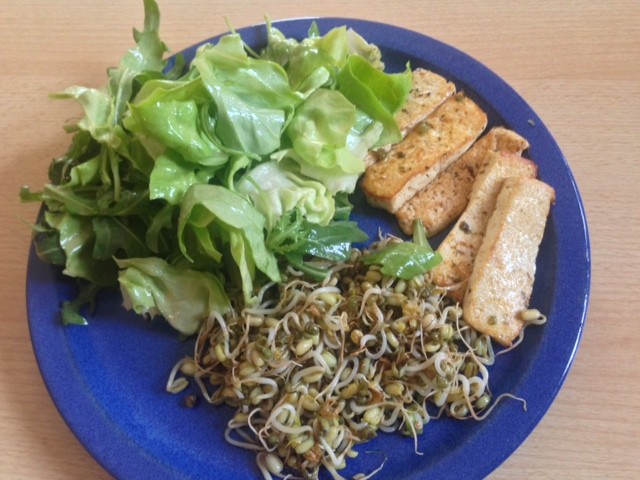Tofu fried in herb butter and mung bean sprouts with salad