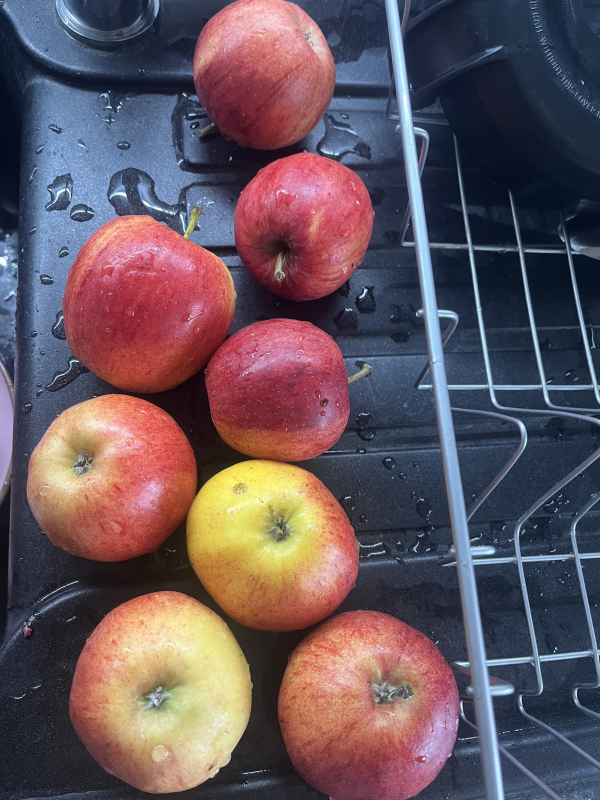 Apfel Maronen Pudding
